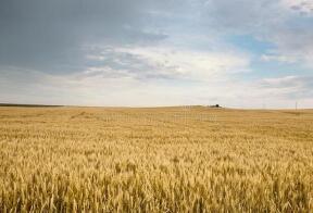 2020��Խ�ϴ��׳���30������Ԫ