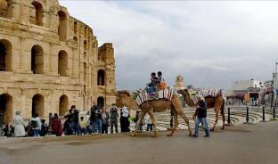 ͻ��˹2020��ʳƷó��������С��8.594�ڵ��ɶ�