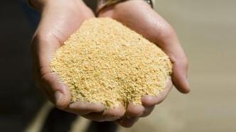 ŷ��85%���϶��ɽ������԰����Ͱ���͢