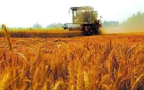 ֥�Ӹ��ڻ����������ס�С��ʹ��ڼ�20�ռ��������µ�