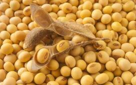 ����ʡ2020��12�´�ԭ���չ��۸񻷱�����2.88%