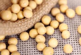 ֣����Ʒ���������ڻ����ڻ����н����й�����Ĺ���