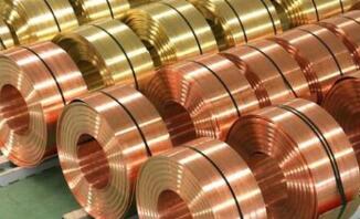 �׶ؽ������������������۸�28�����̶�������