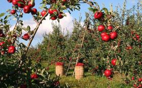 2020���ڿ���ˮ���������ڶ��½�8%