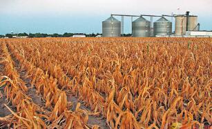 ֥�Ӹ��ڻ����������ס�С��ʹ��ڼ�2��ȫ���µ�