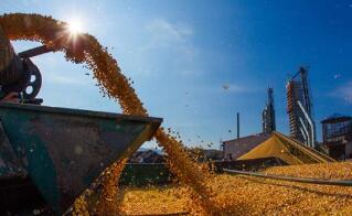 ֥�Ӹ��ڻ����������ס�С��ʹ��ڼ�4���ǵ���һ