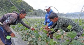 �����������������ʱ�ſ����ڹ��г�