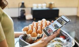 ����2020��ʳƷ�������׶�ͬ����������