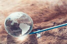 OECD��Ա������2020���»�4.9% ��1962��������󽵷�