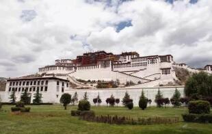 2020���й����������������