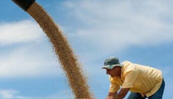 ֥�Ӹ��ڻ����������ס�С��ʹ��ڼ�22��ȫ������