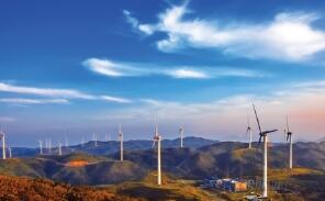 ����ʱ�����ӹ�˾�ⲻ��105��ԪͶ��ʱ�������������������������Ŀ