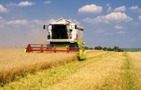 ֥�Ӹ��ڻ����������ס�С��ʹ��ڼ�2��ȫ������