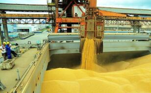 ֥�Ӹ��ڻ����������ס�С��ʹ��ڼ�9���ǵ���һ