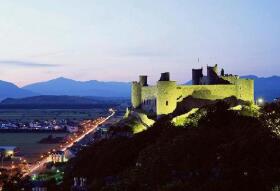 ���ɼӴ����ȷ�չ����ҵ��