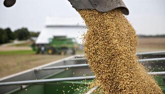 ֥�Ӹ��ڻ����������ס�С��ʹ��ڼ�18��ȫ���µ�