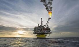 �������ţ�2020�꾻��ͬ�Ƚ�20.2%��10����6.2Ԫ