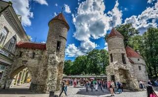 2020�갮ɳ������С��ҵ����Ͷ����ݶ������½�