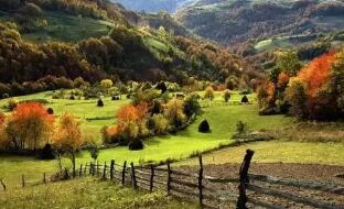 ����ά��ũҵ�������Īά�棺��ũҵ��������50��