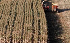 ֥�Ӹ��ڻ����������ס�С��ʹ��ڼ�31������