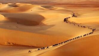 ��������֣����ҹ������ �������3%  ����ͭҹ���յ�0.81% 