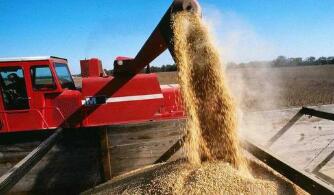 ����ũҵ��������ʾȫ��С�����½�