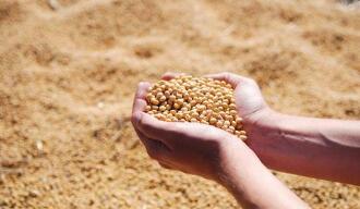 CBOT���µ�����USDA�ϵ������󶹲���Ԥ��