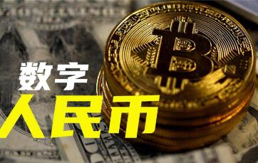 ��������������Ե���Ⱥ������