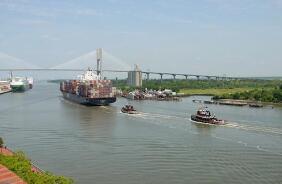 2020���³����FDIͬ���½�52.9%