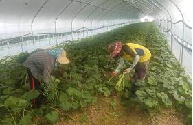 ������͹��������޽������Զ��ӳ�һ��