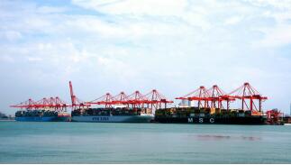 �ձ�2020��������½�8.4%