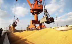 ֥�Ӹ��ڻ����������ס�С��ʹ��ڼ�21��ȫ������