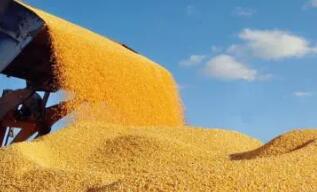 �������������������ݶ������ײ��ֽ������������Ƴ�5��