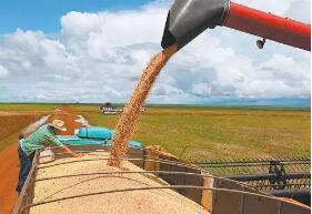 4�°����󶹳�����Ϊ1738.39���