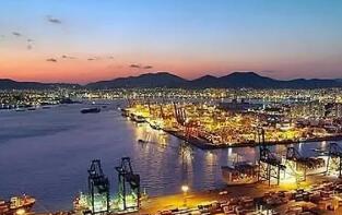 ���ǿ��ϵ����꺫����������Ԥ����3.8%