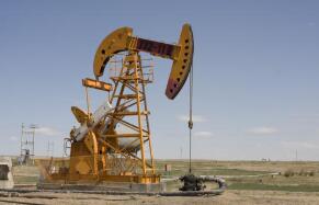 ����ȼ��(1600.HK)��Kind Edge�չ��Ϲ�1.41�ڹɹ�˾�ɷ�