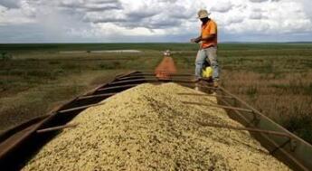 ֥�Ӹ��ڻ����������ס�С��ʹ��ڼ�27��ȫ�ߴ���