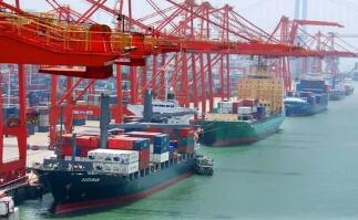 ������֯�ϵ�2021�꺫����������Ԥ����3.8%