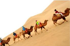 һ����ͬ������46.5% �й��羳���̷�չ�����������ص�