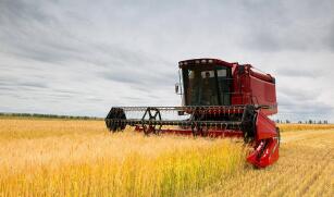 ֥�Ӹ��ڻ����������ס�С��ʹ��ڼ�14��ȫ���µ�