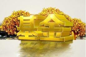 ˽ļ�����ܹ�ģ��17.82����Ԫ����������������ͷ