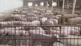 ��������2021���һ�����봢���������մ����۽���2���