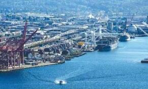 ���޵ĺ���ɢ���˼�ָ�������������µ� ������ͺ��˼۸�ƣ��