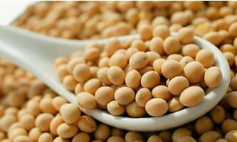 ���ڻ����ͼ��ѡ�������������ܵ�ɶʵ�ݣ�