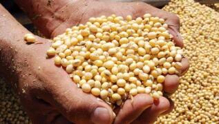 ֥�Ӹ��ڻ����������ס�С��ʹ��ڼ�15���ǵ���һ