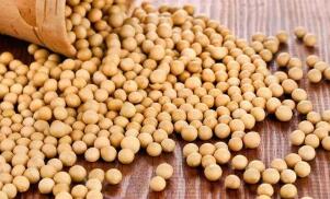 ֥�Ӹ��ڻ����������ס�С��ʹ��ڼ�21��ȫ������