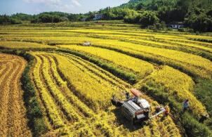 ֥�Ӹ��ڻ����������ס�С��ʹ��ڼ�10�������ǵ���һ