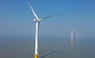 ɳ���׸���糡��������