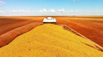 ��һŦԼβ�̣�CBOT�����ڻ���0.05%  CBOT���ڻ���0.33%