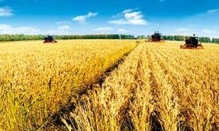 ֥�Ӹ��ڻ����������ס�С��ʹ��ڼ�7��ȫ���µ�